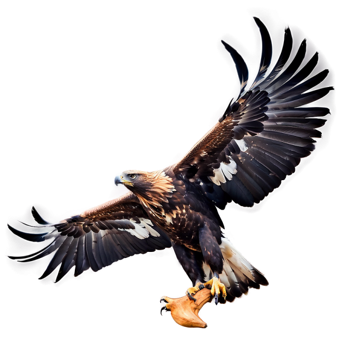 an eagle is flying with its wings spread