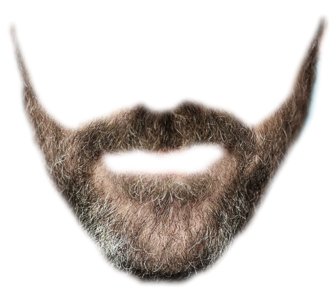 a close up of a beard on a white background