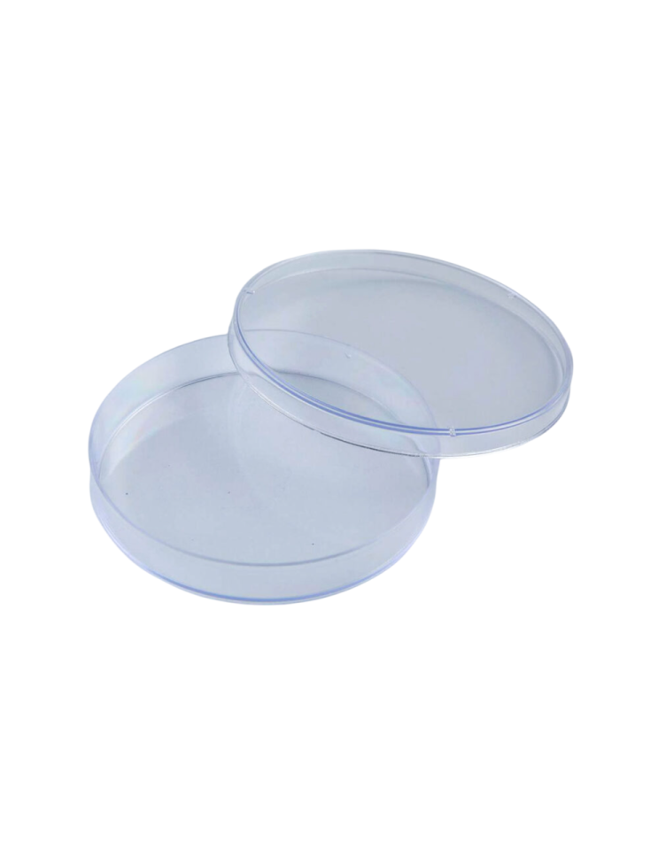 a pair of clear plastic lids on white background