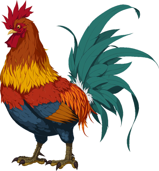 a rooster with red and yellow feathers