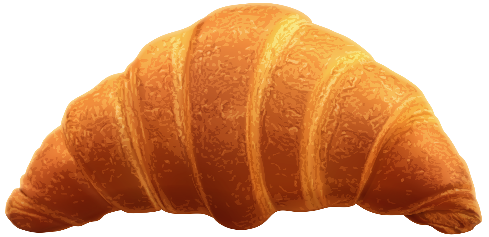 an illustration of a croise