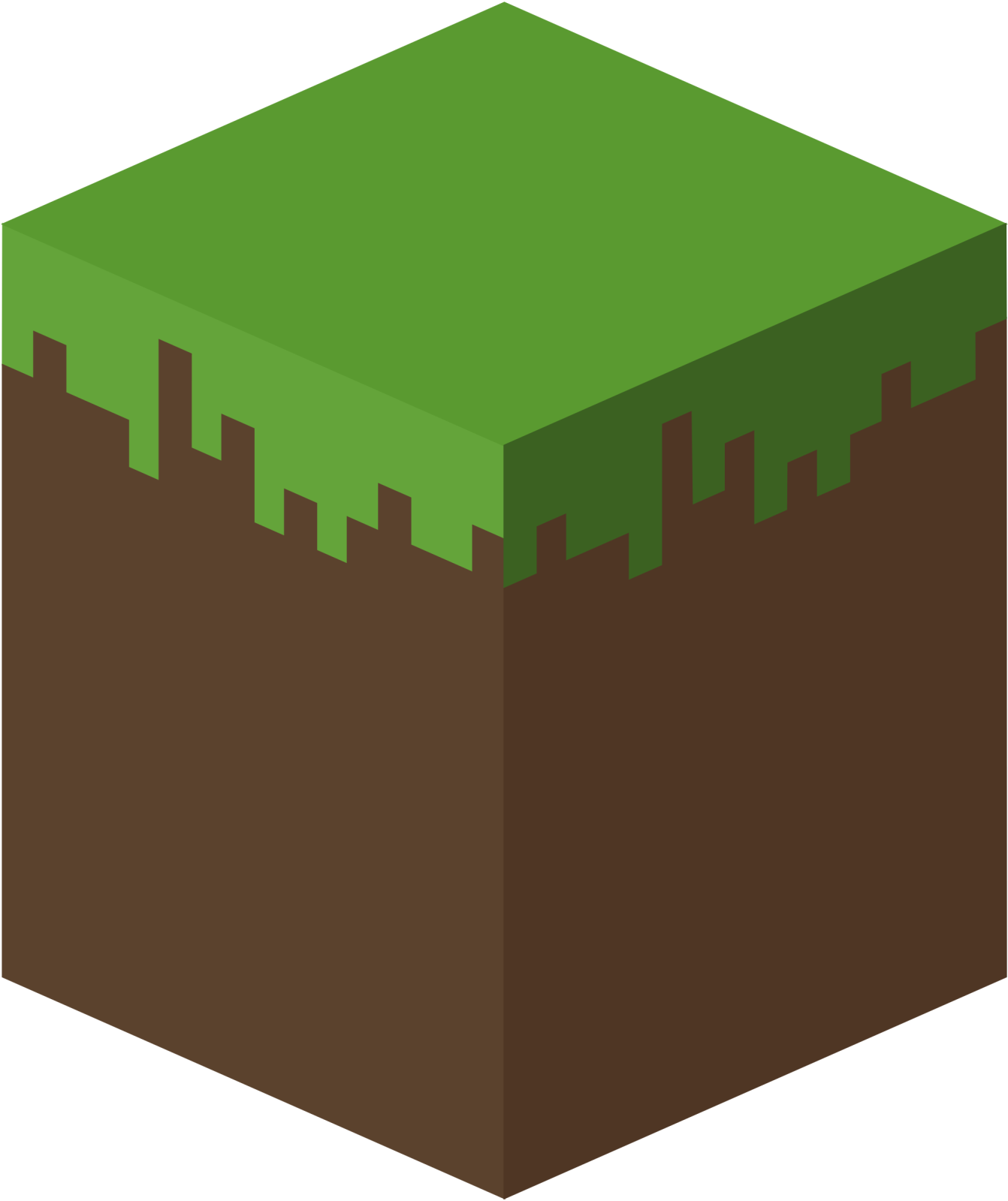an image of a minecraft block