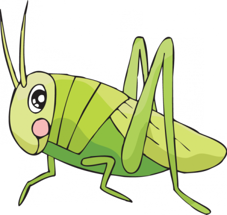 a green grasshopper on a white background