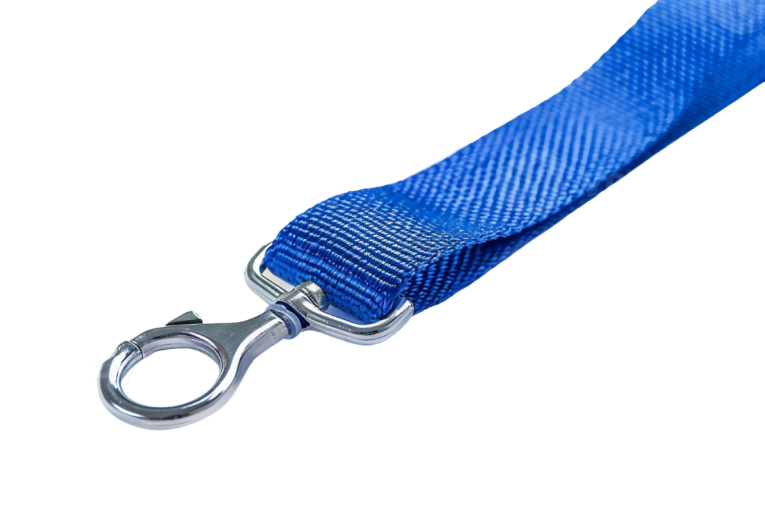 a blue dog leash on a white background