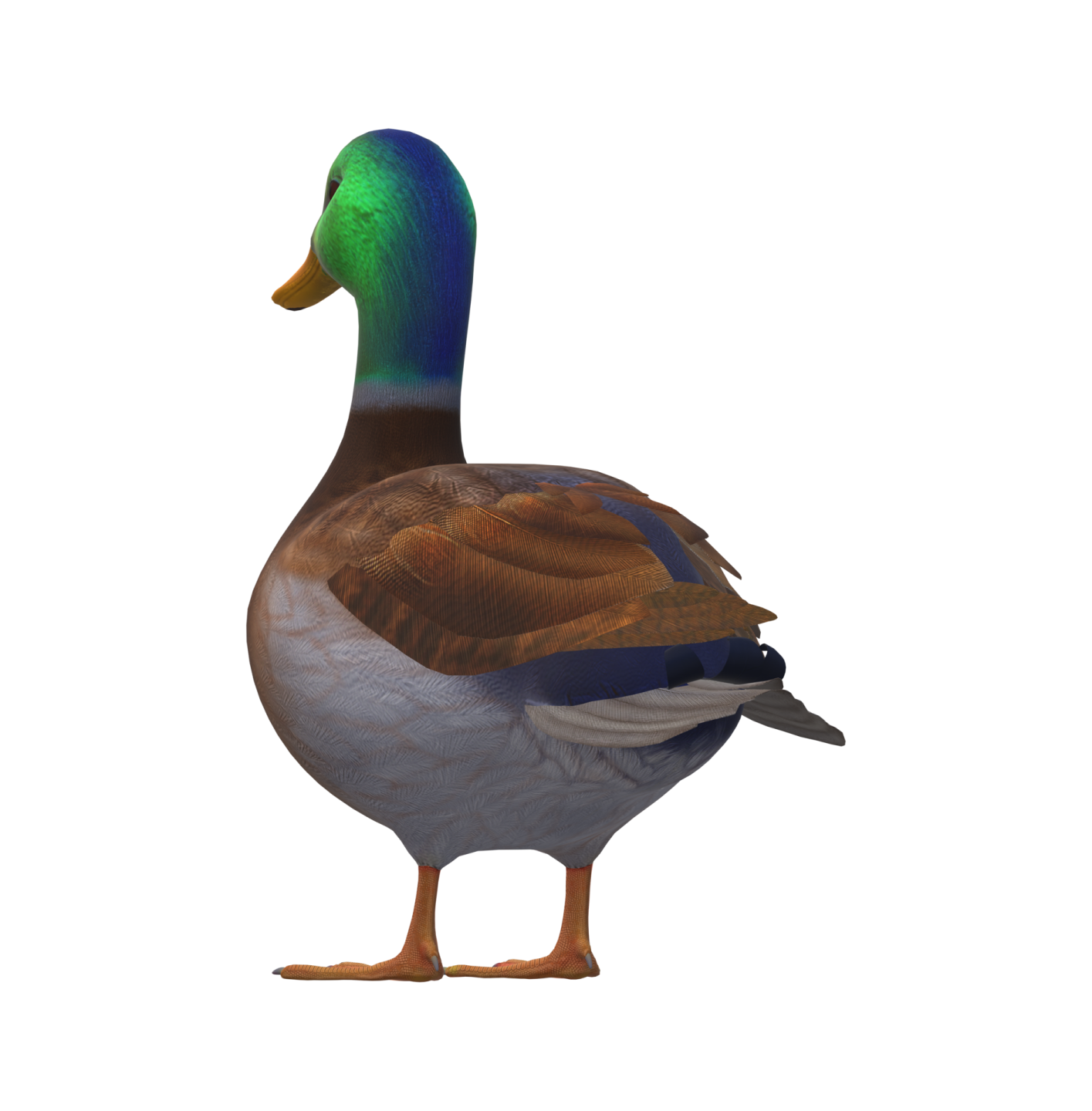 a duck is standing on a white surface