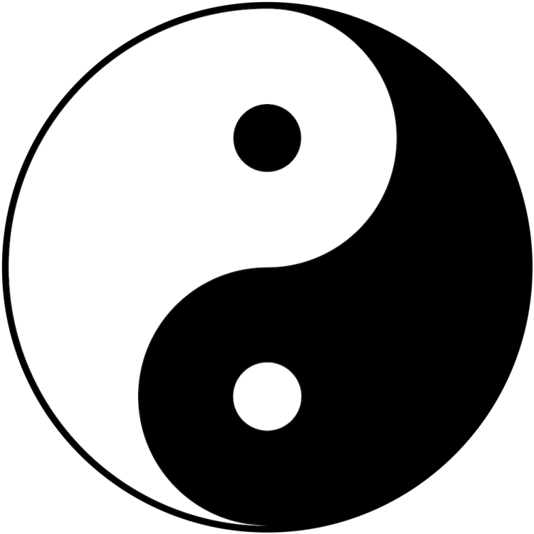 a black and white yin symbol