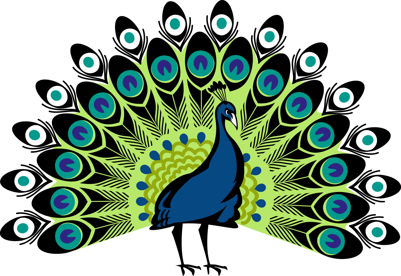 a peacock with blue and green feathers