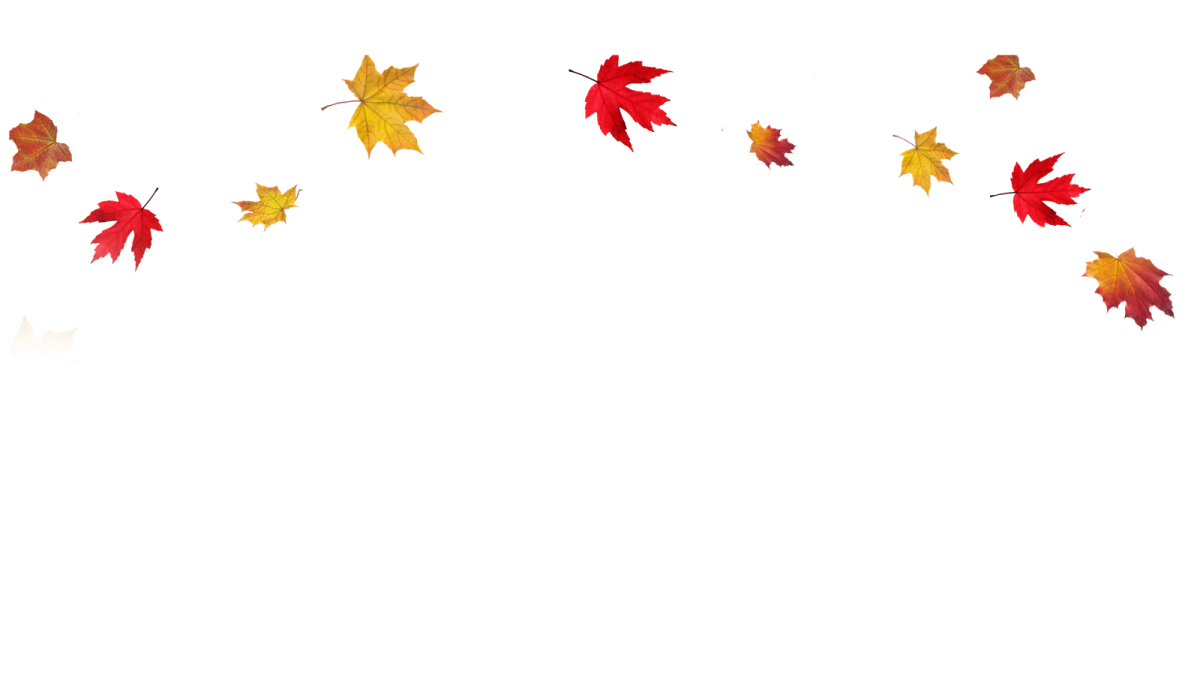 a group of autumn leaves flying in the air