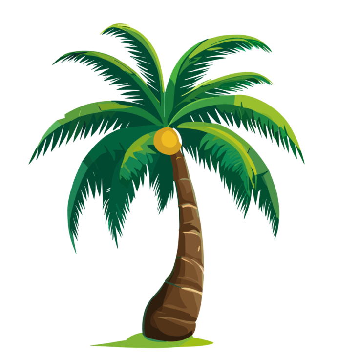a palm tree on a white background