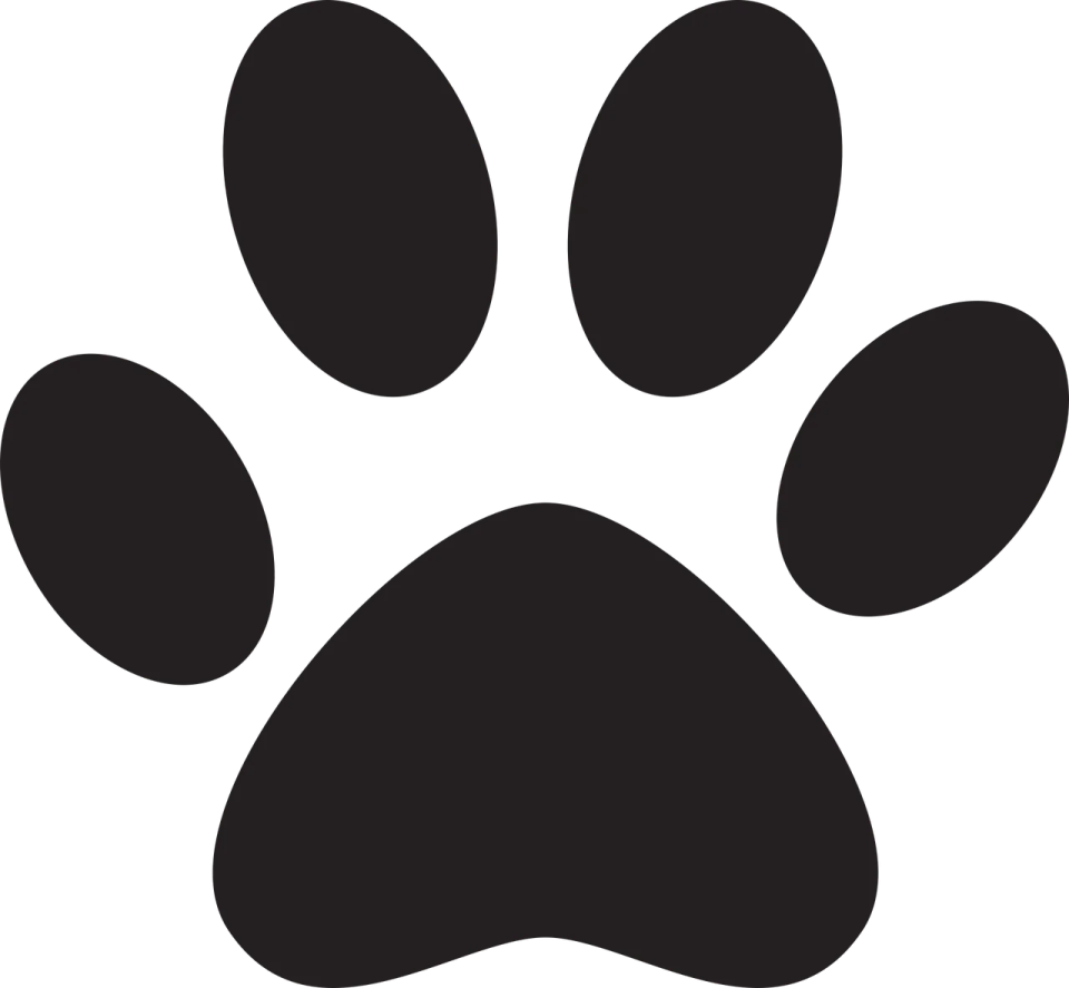 a black paw on a white background