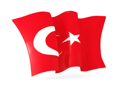 the flag of turkey on a white background