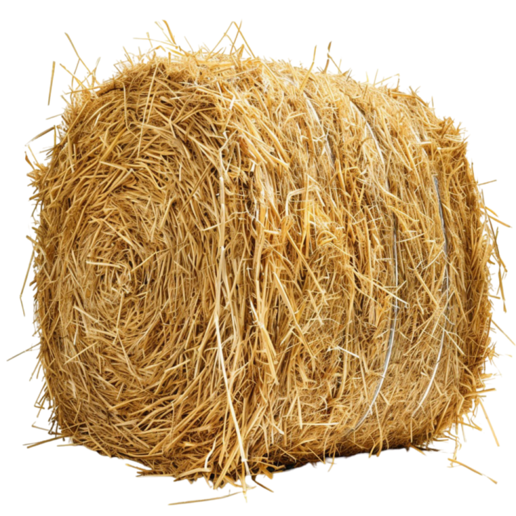 a roll of hay on a white background