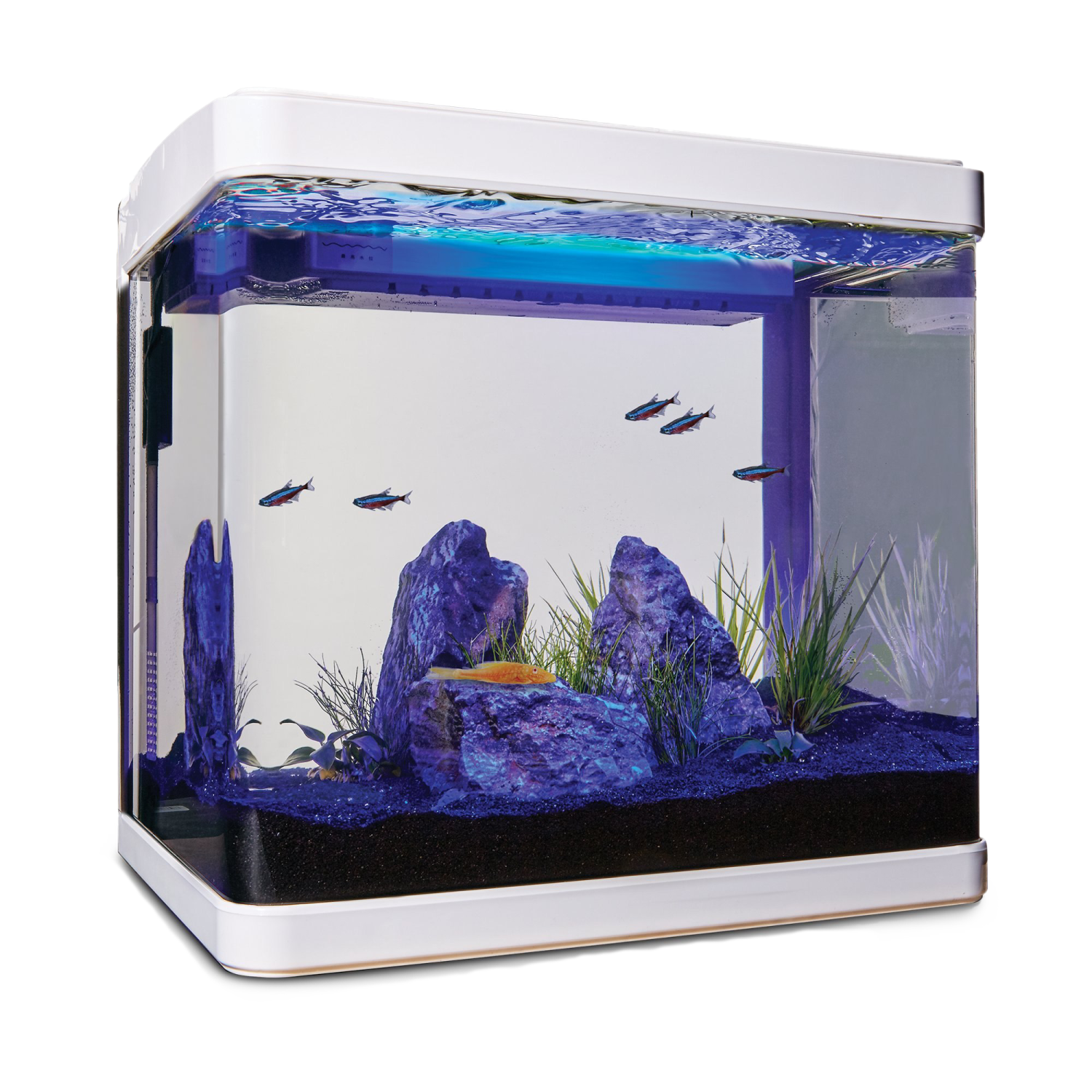 a fish tank filled with water and rocks