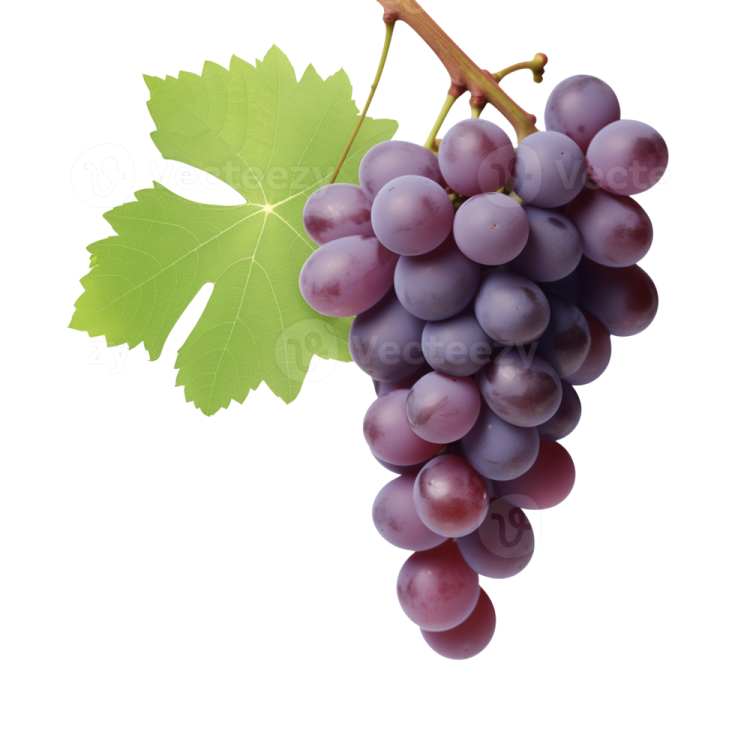 a bunch of grapes on a white background