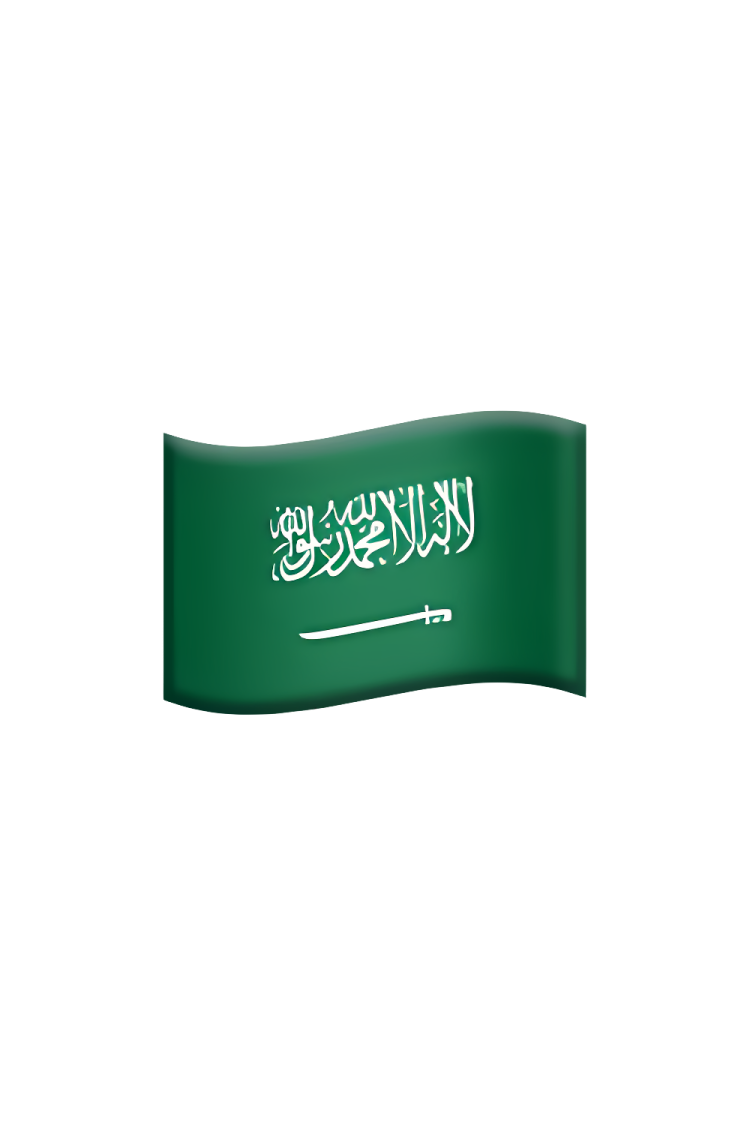 saudi flag on white background