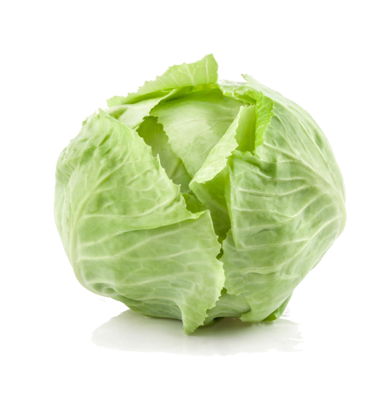 a head of cabbage on a white background