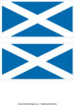 the scottish flag is shown in blue and white