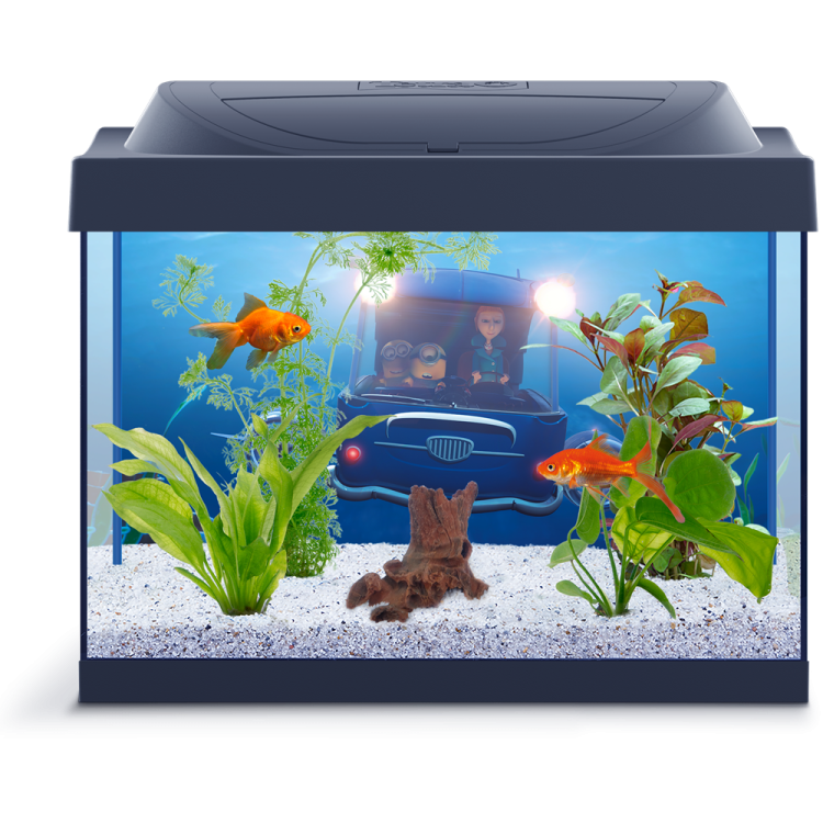 a fish tank with an aquarium in it