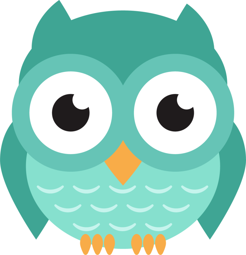 an owl with big eyes