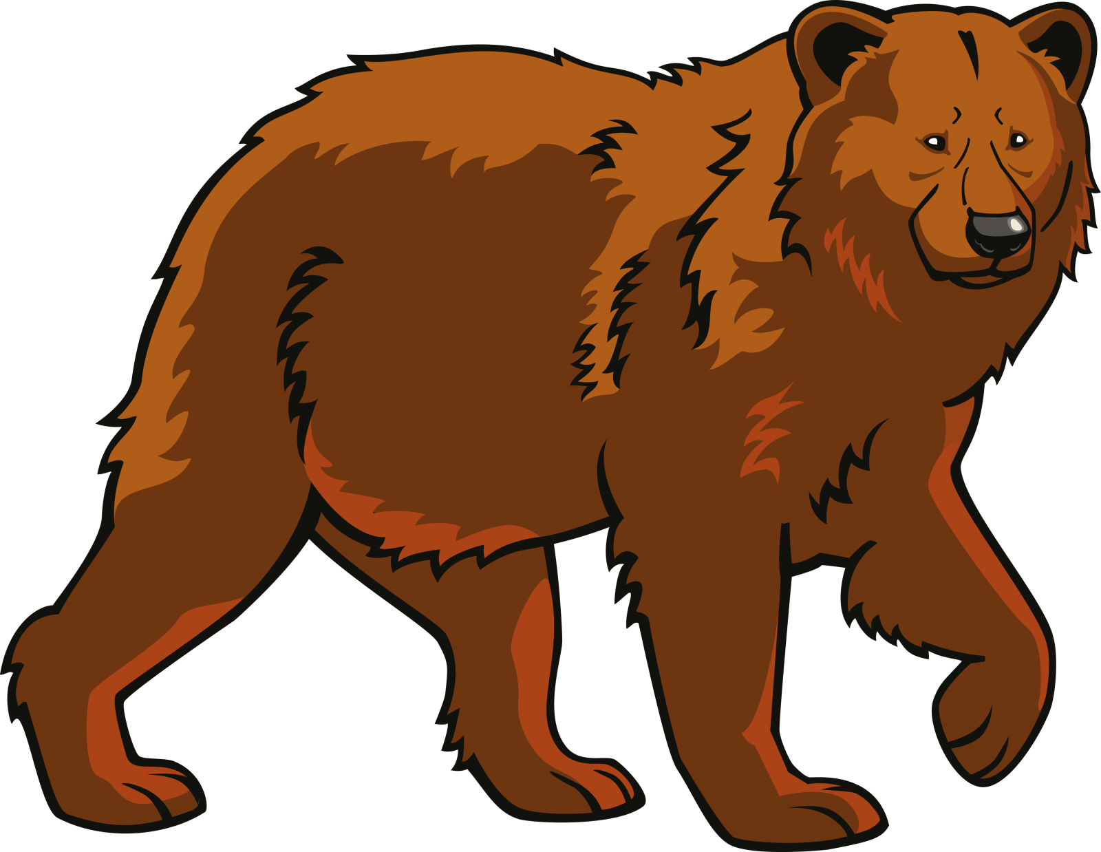 a brown bear walking on a white background