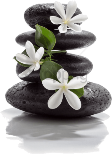 a pile of black stones with white flowers