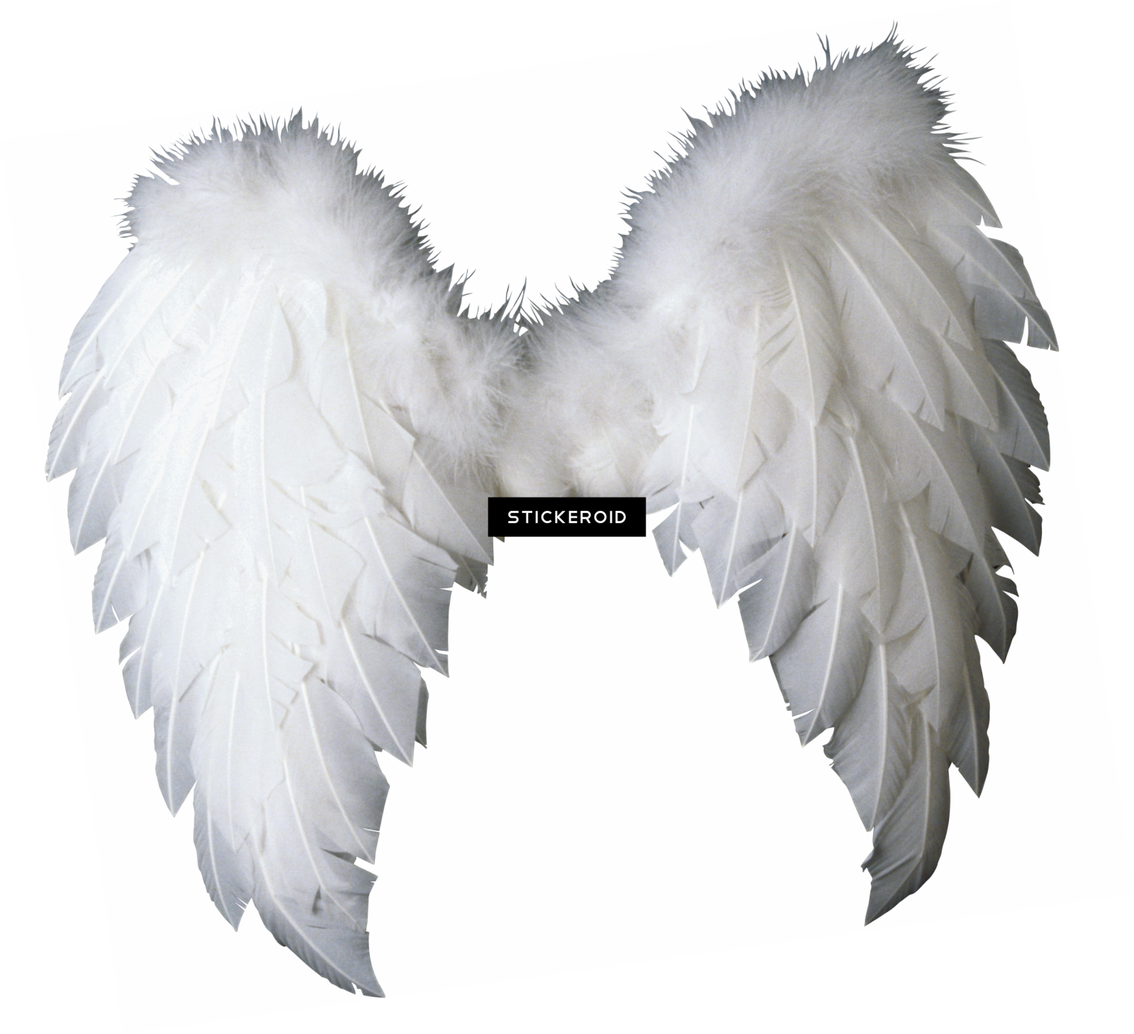 a pair of white wings on a white background