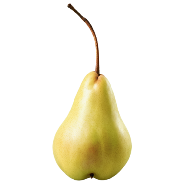 a pear on a white background
