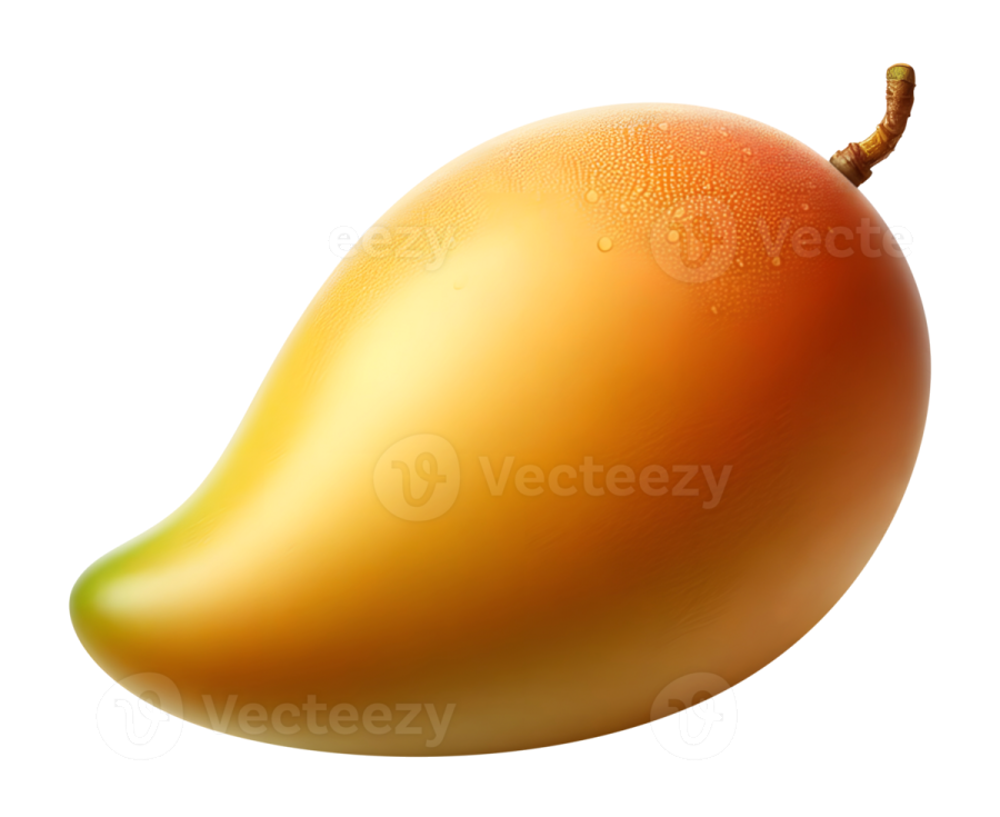 a mango on a white background