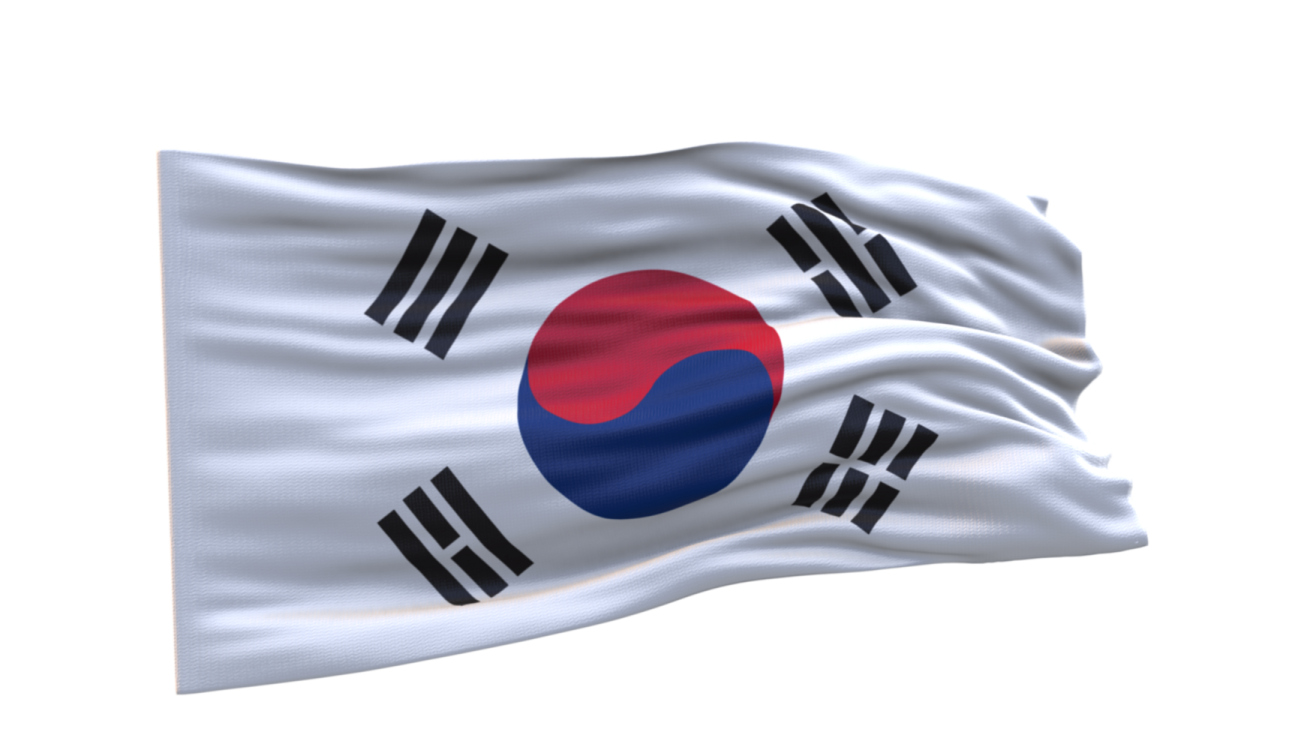 a korean flag flying in the wind