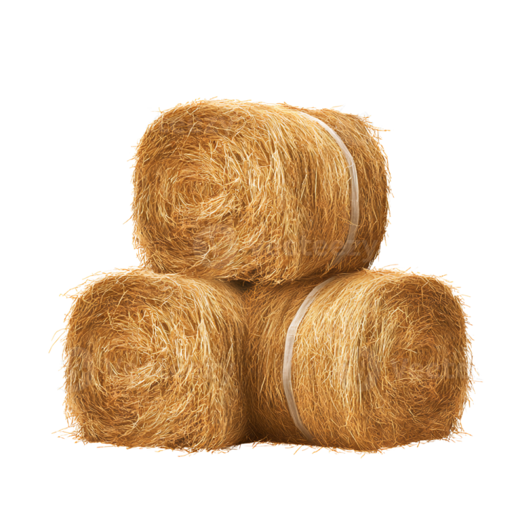 three straw bales on a white background