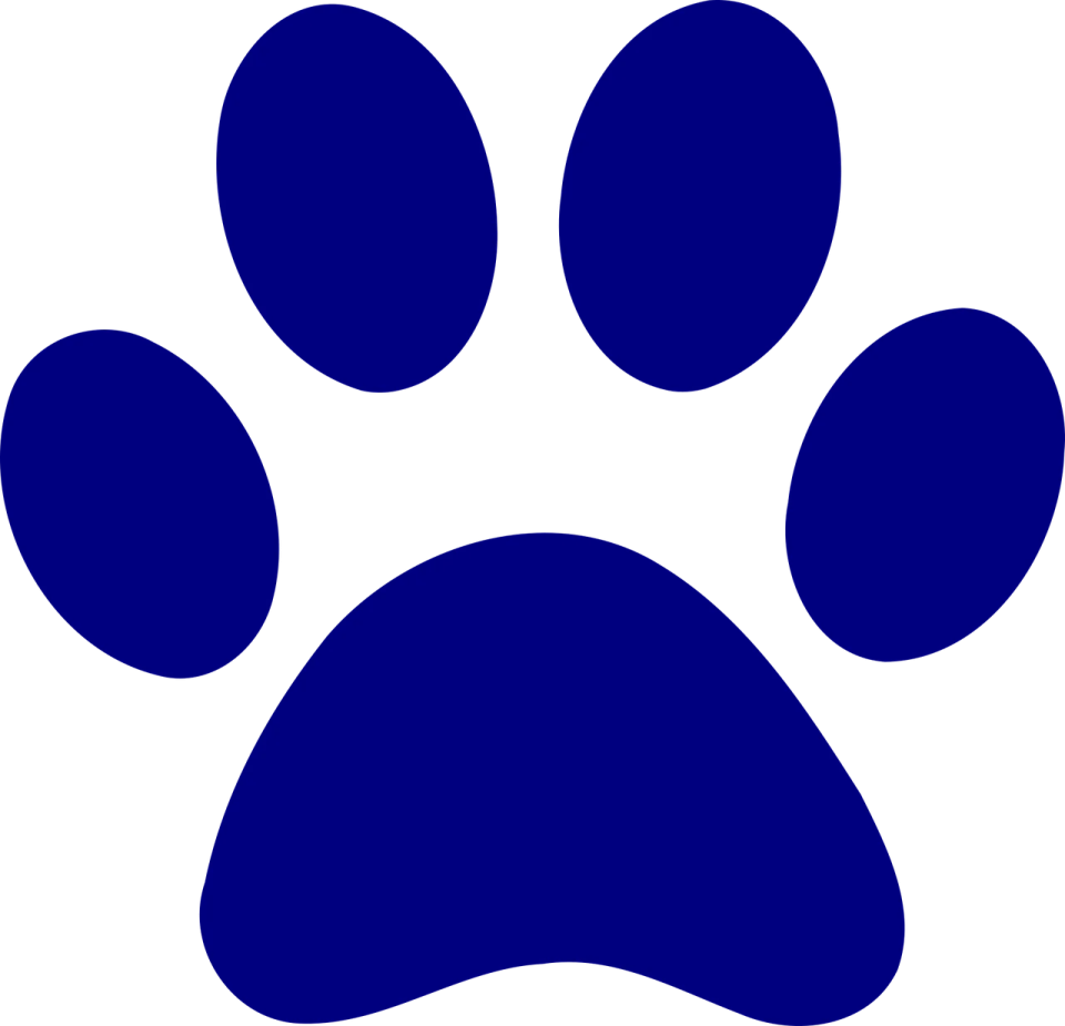 a blue paw print on a white background