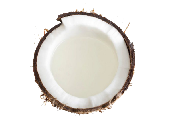 a half of coconut on a white background