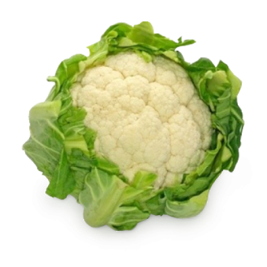 a head of caulia on a white background