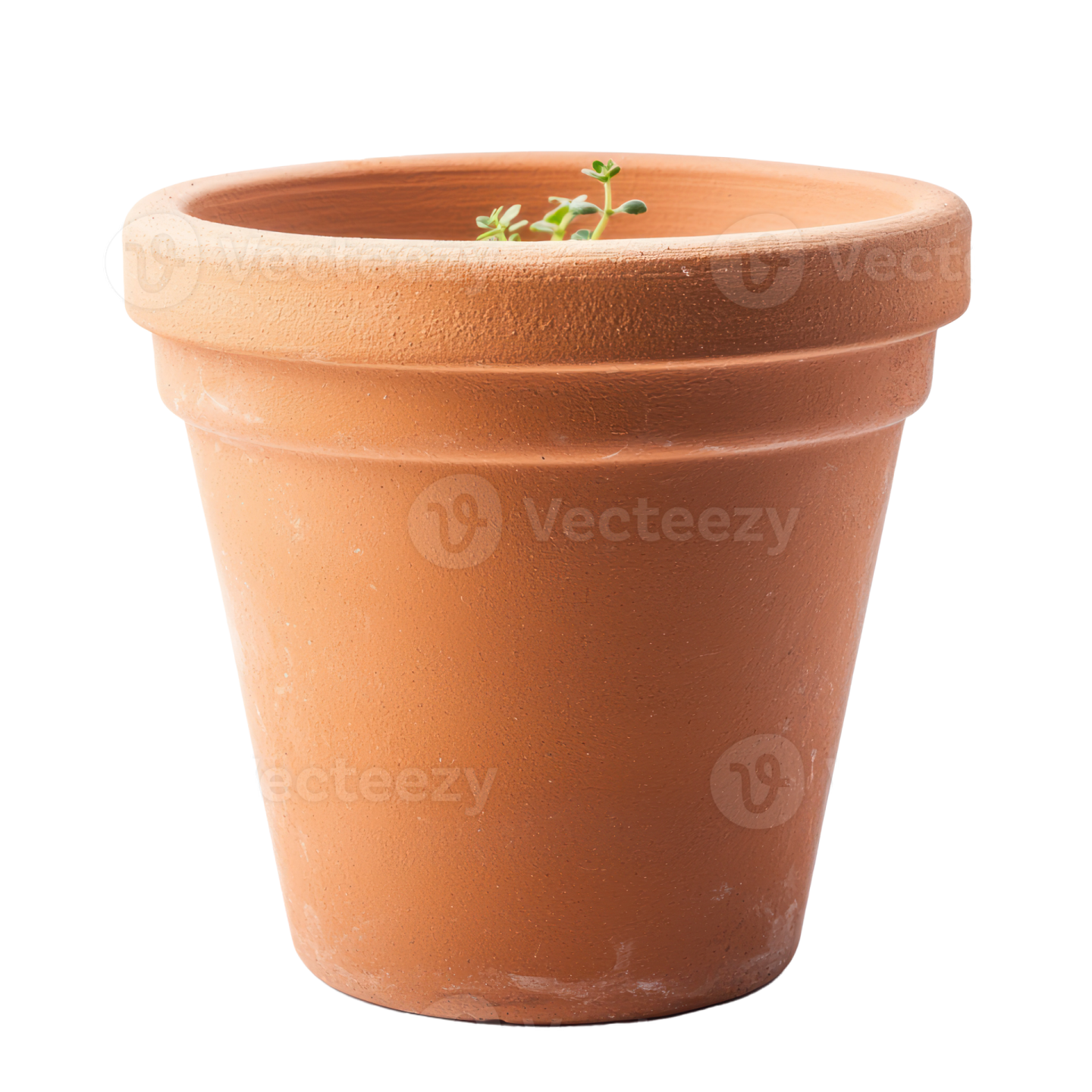 a pot with a small plant in it