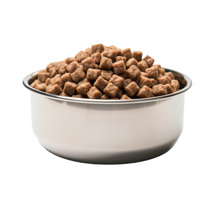 a bowl full of dog food on a white background
