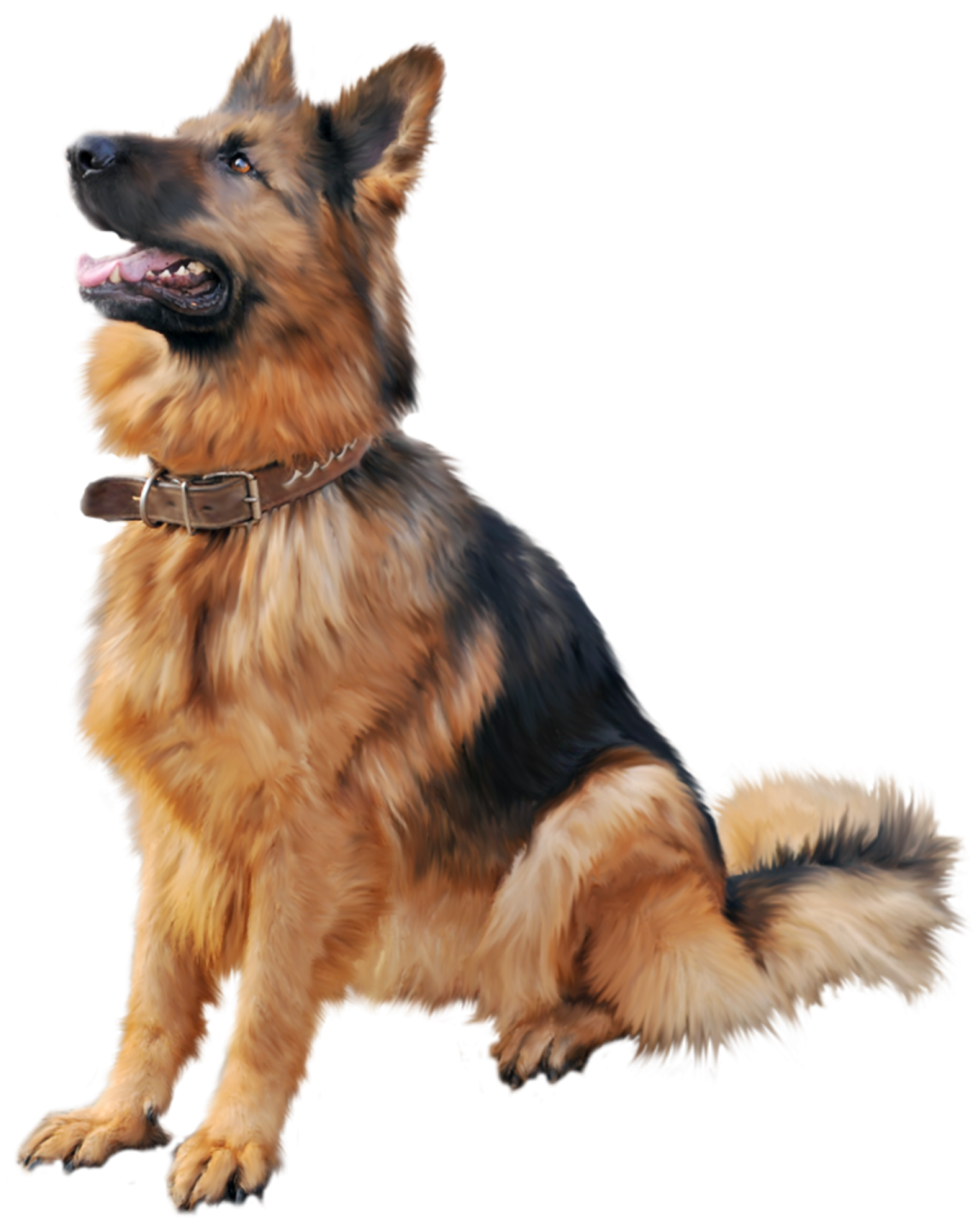 a painting of a dog on a white background