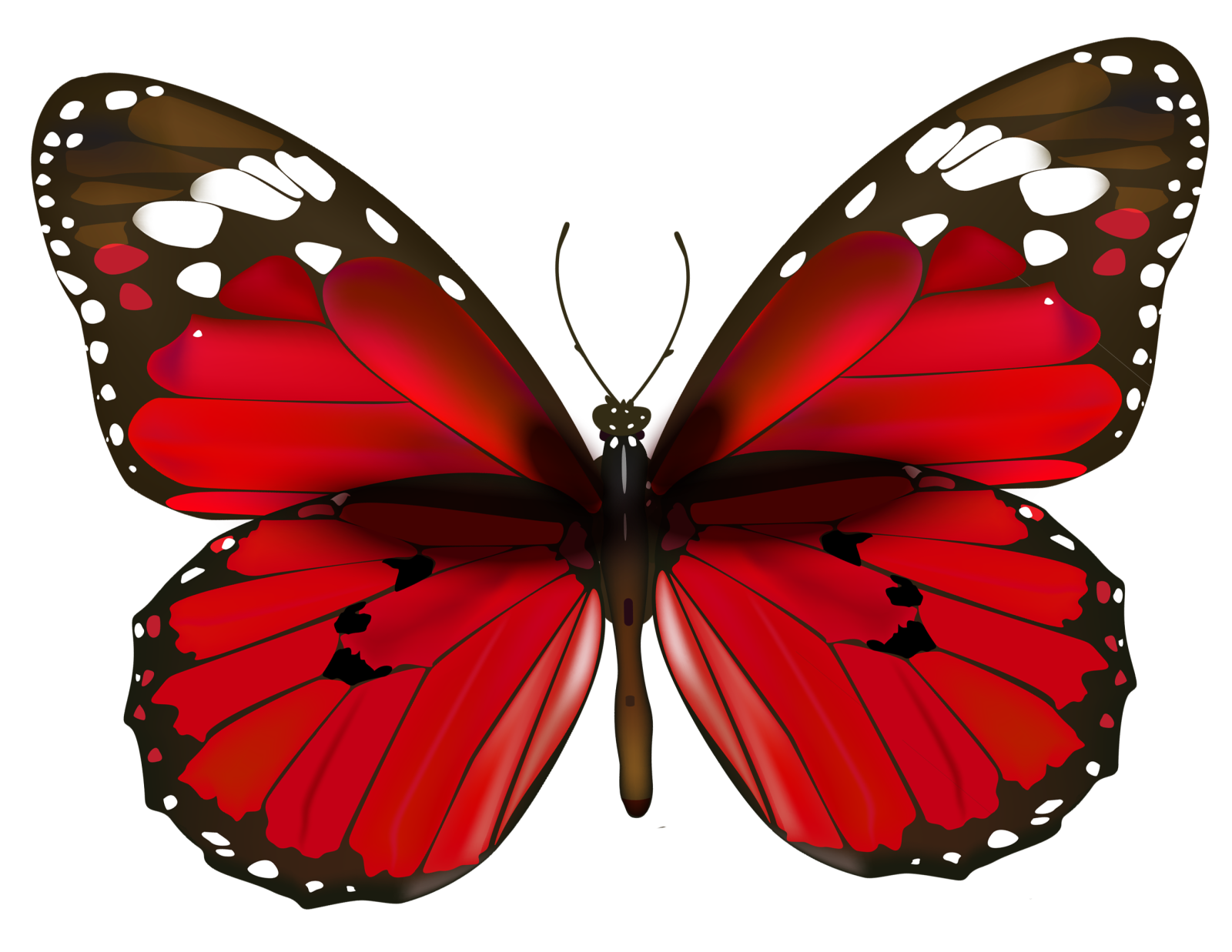 a red butterfly on a white background