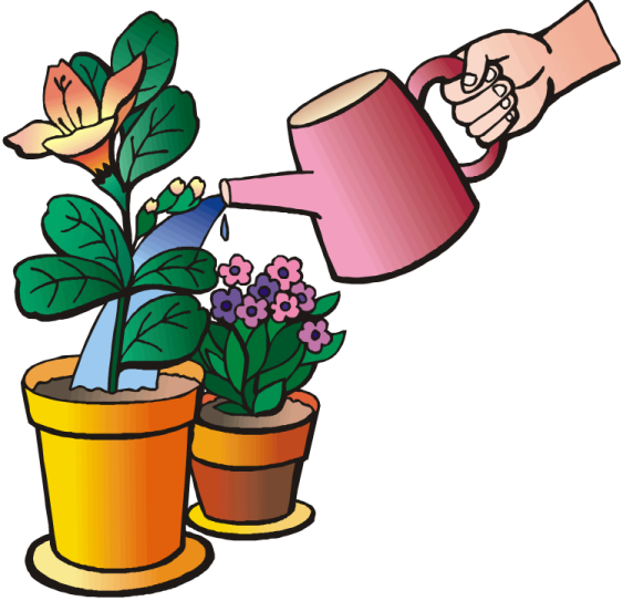 a hand watering a pot of flowers