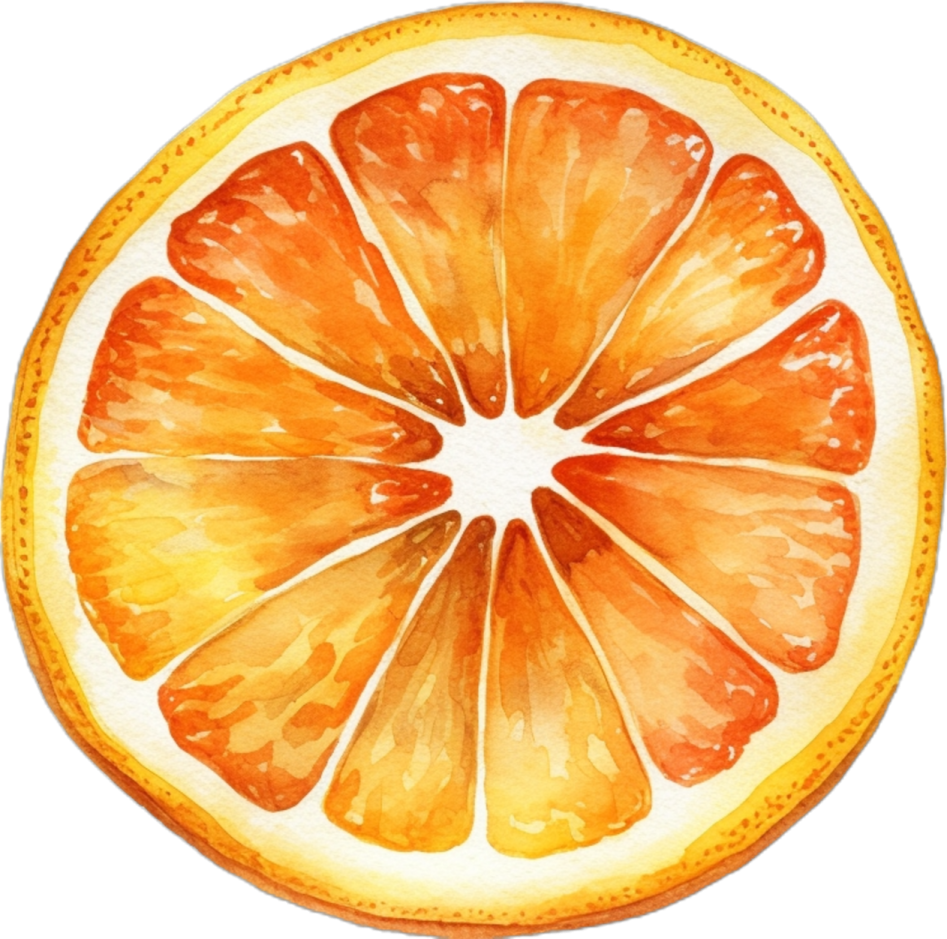 a watercolor painting of an orange slice