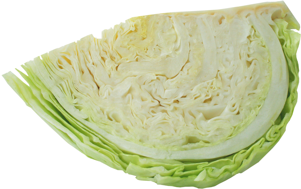 a wedge of cabbage on a white background
