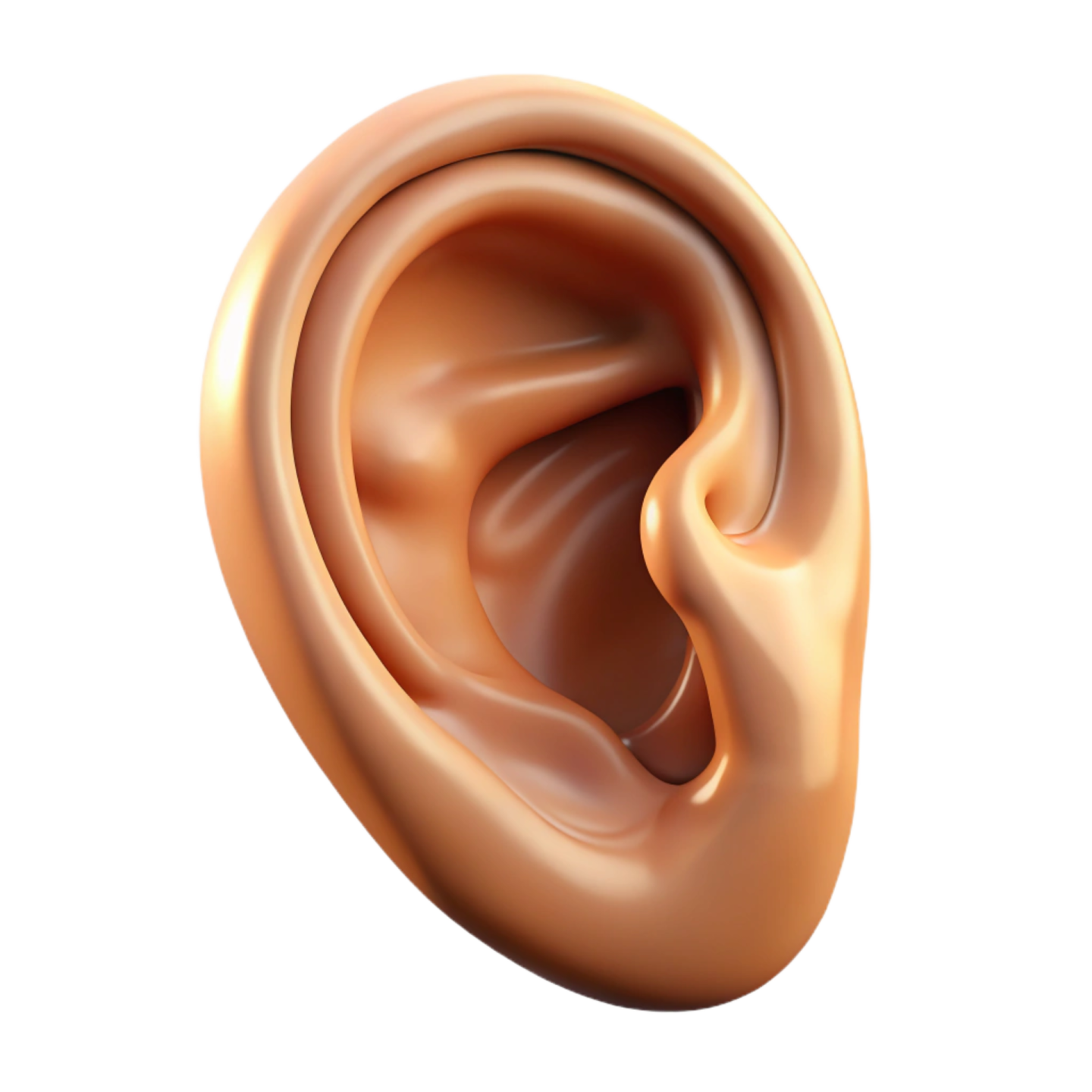 a close up view of the inside of an ear