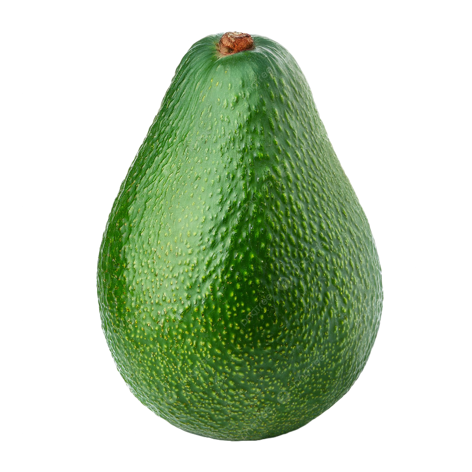a green avoca on a white background
