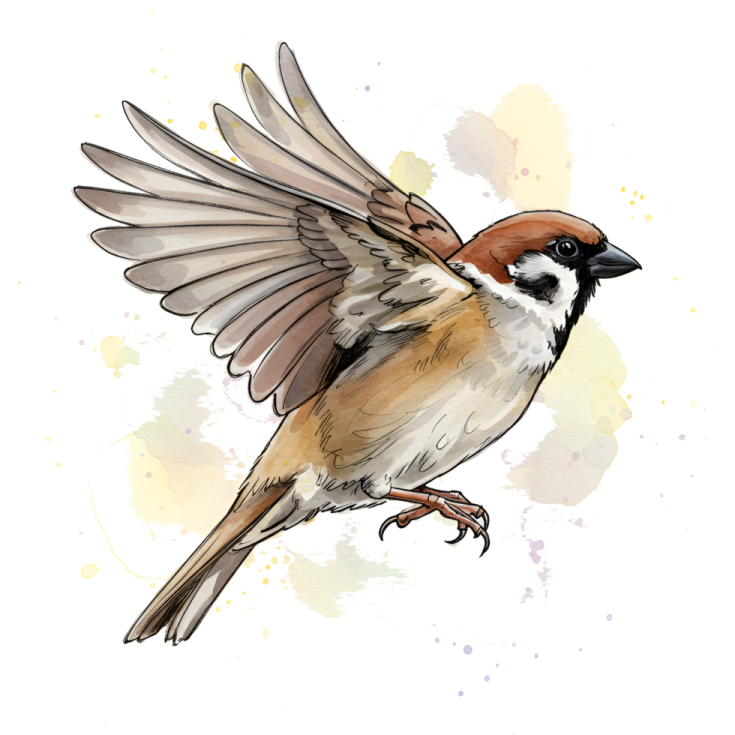 a bird with its wings spread out