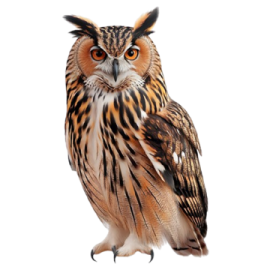 an owl sitting on top of a white surface