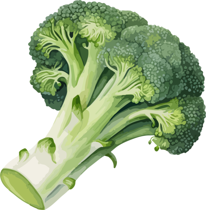 a bunch of green broccos