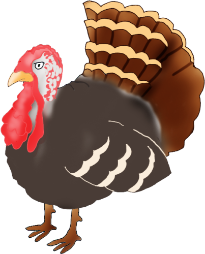 a turkey with a red head and brown feathers