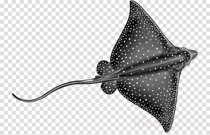 a black and white spotted manta ray, hd png