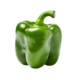 a green pepper on a white background