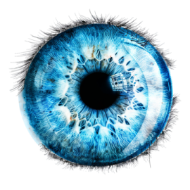 an image of a blue eye