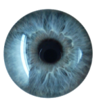a close up of a blue colored eye
